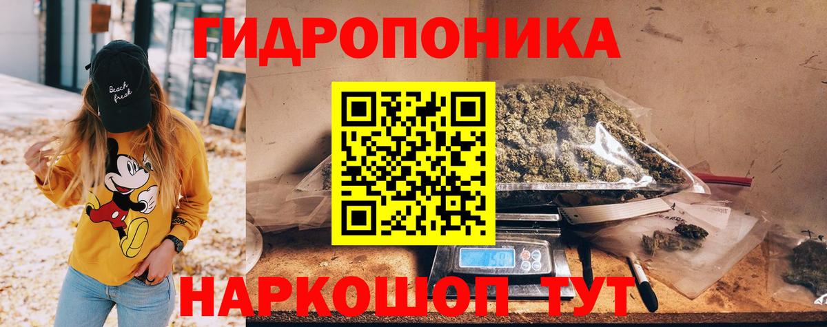 Конопля Bruce Banner  Вход с VPN  Усолье-Сибирское  Бошки марихуана ГИДРОПОН  Конопля конопля  Каннабис марихуана 